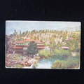 Antique Postcard 1912 Sporty Dog Little Lamb Denmark Jensen Green Bay WI Lodge