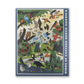 An illustrated cover for Bird Collective’s "Birds of Eastern North America | 1,000 Piece Jigsaw Puzzle" features a variety of bird species in nature, with "Birds of Eastern North America" printed on the side.