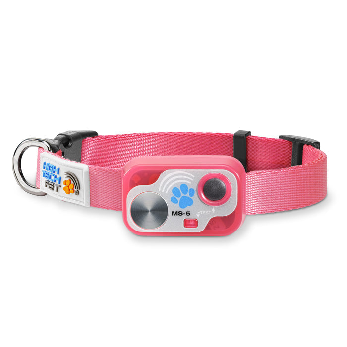 Designer Dog Collar Super Bundle