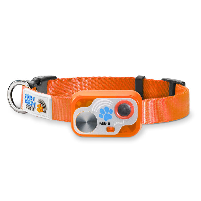 Designer Dog Collar Super Bundle