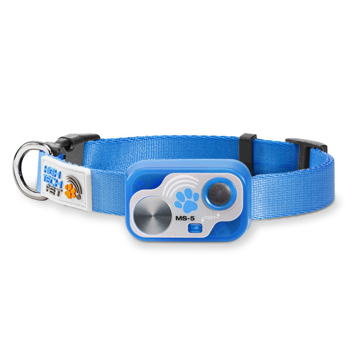 Designer Dog Collar Super Bundle