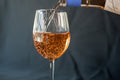 Domaine de Fenouillet Ventoux Rose