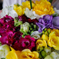 Double Freesia Mix|Freesia Bulbs Double Mix, Freesia lacteal, Freesia Double Mix bouquet