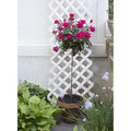 Knock Out Rose Tree - 3 Gallon - Seed World