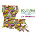 Louisiana Select Wildflower Seed Mix|Louisiana Select Wildflower Seed Mix