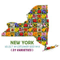 New York Select Wildflower Seed Mix|New York Select Wildflower Seed Mix