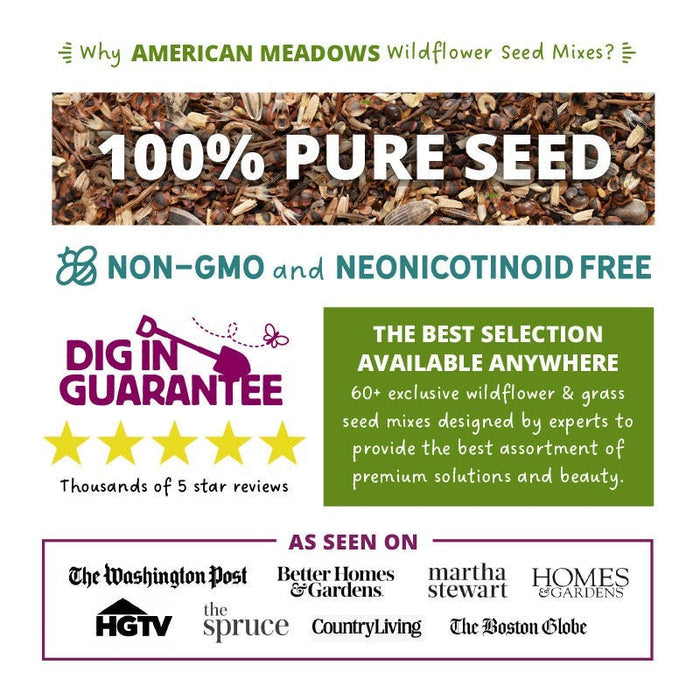 New York Select Wildflower Seed Mix