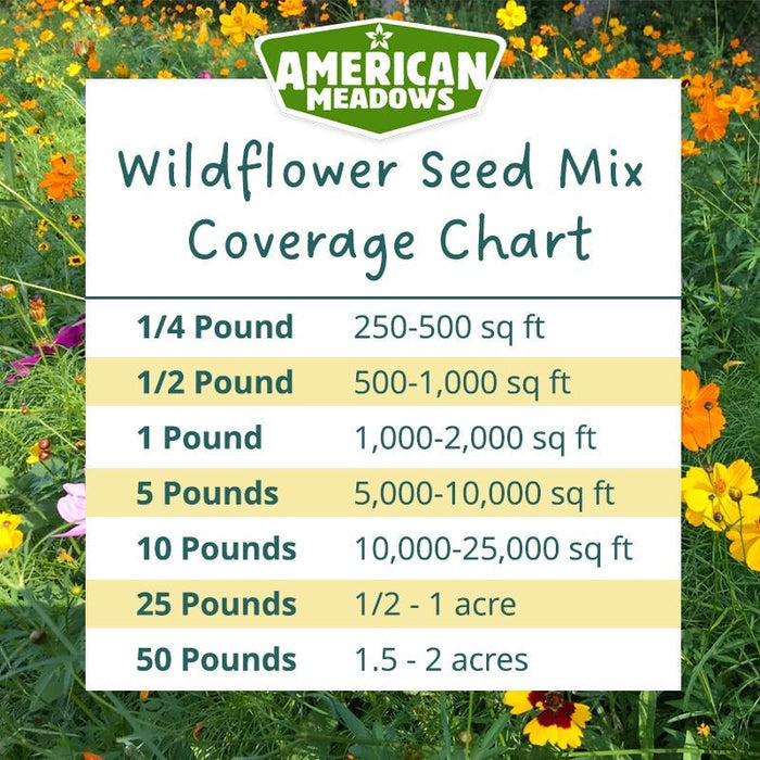 New York Select Wildflower Seed Mix