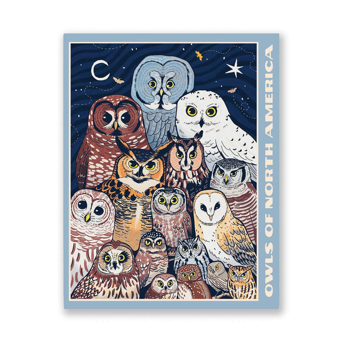 The Owls of North America | 1,000 Piece Jigsaw Puzzle by Bird Collective features North American owls with unique markings against a night sky with moon and stars—ideal for home decor or as an engaging owl-themed puzzle.