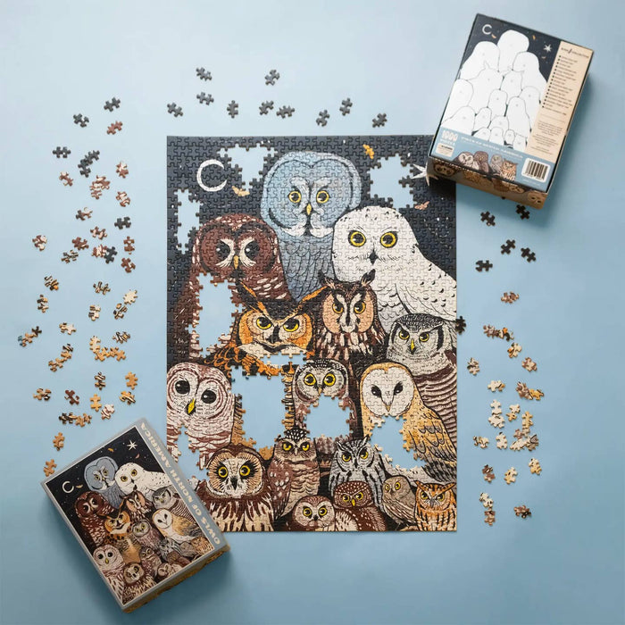 Owls of North America | 1,000 Piece Jigsaw Puzzle