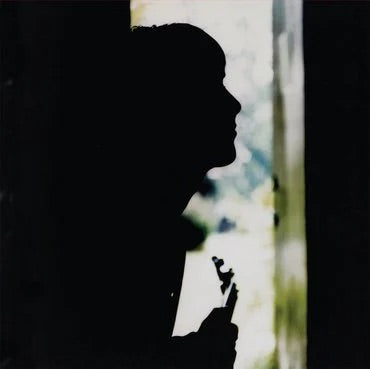 Paul Weller Wild Wood