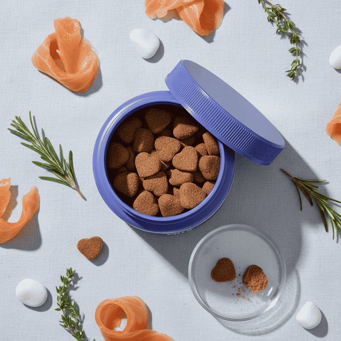 Pet Probiotic Soft Chews - Dog Health - TinPaw