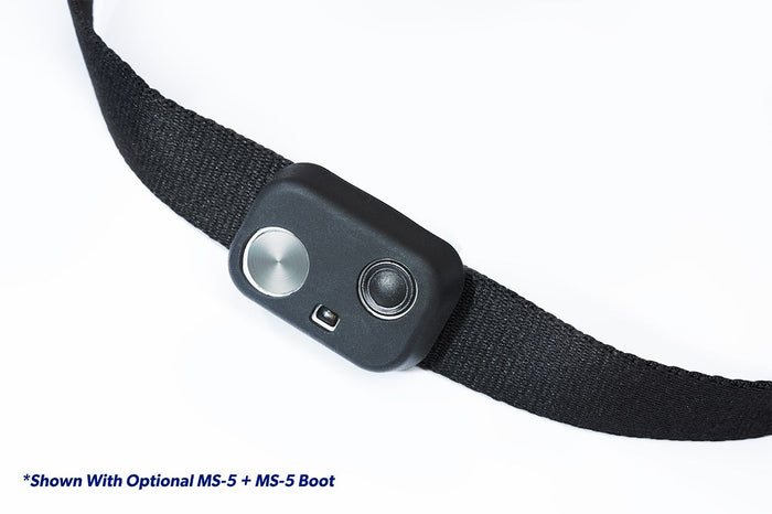 SOLID BLACK DELUXE COLLAR - Medium