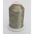 Sulky 40 wt 5500 Yard Rayon Thread - 940-2116 - Taupe Var.