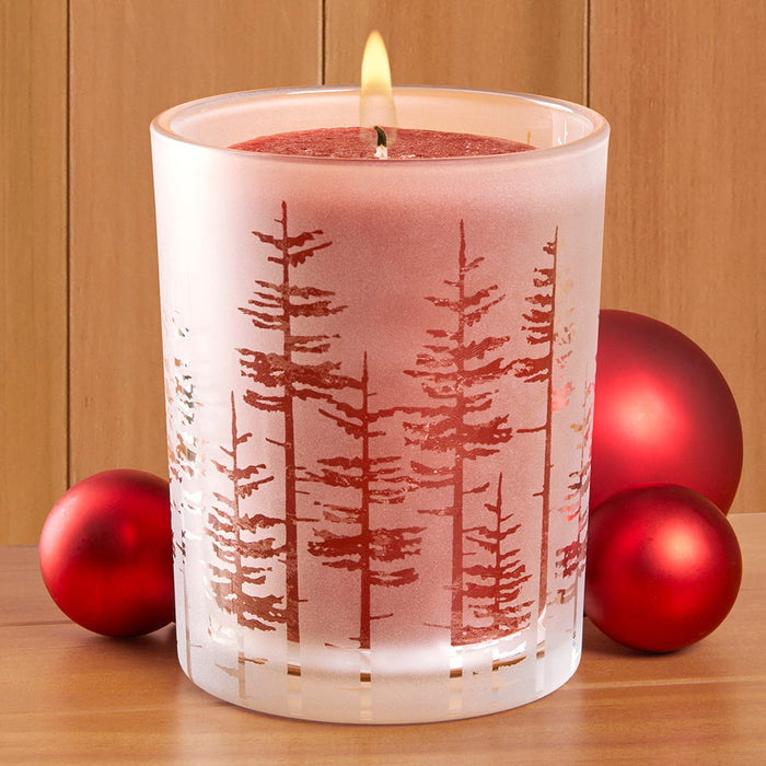 Tall Trees Glass Hurricane
