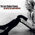 The Last Shadow Puppets The Age of The Understatement