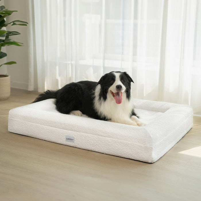 Tyro Luxe Large Orthopedic Pet Bed – Light Beige with a dog comfortably lying on it, showcasing the bed's soft boucle fabric and supportive dual-layer memory foam design for large pets.
