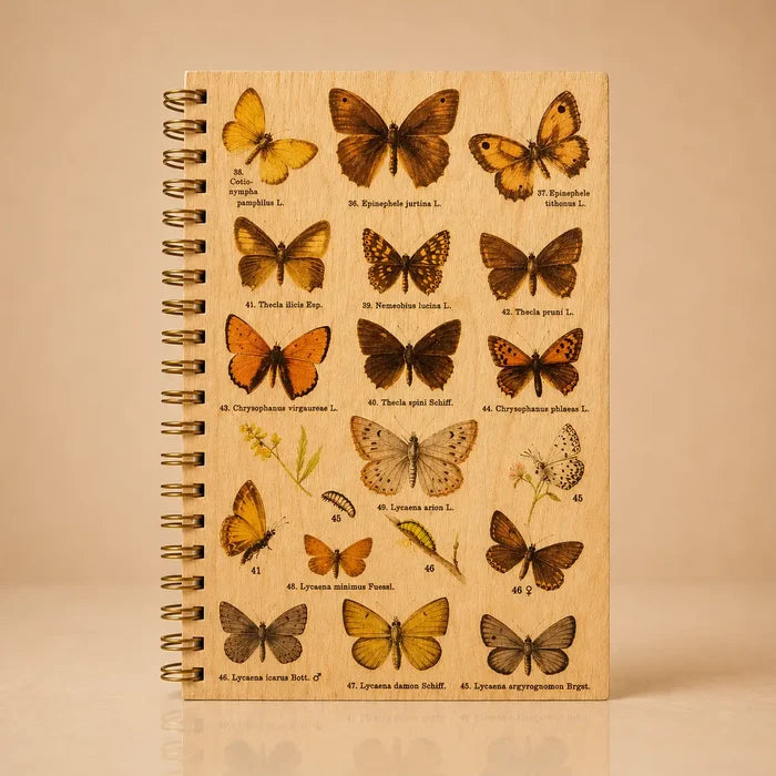 Wood Notebook Butterfly Specimen